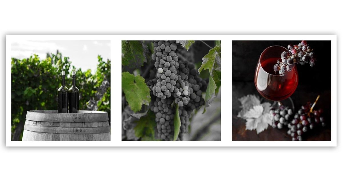 Emaga Obraz na płótnie, Magia winnicy - 150x50